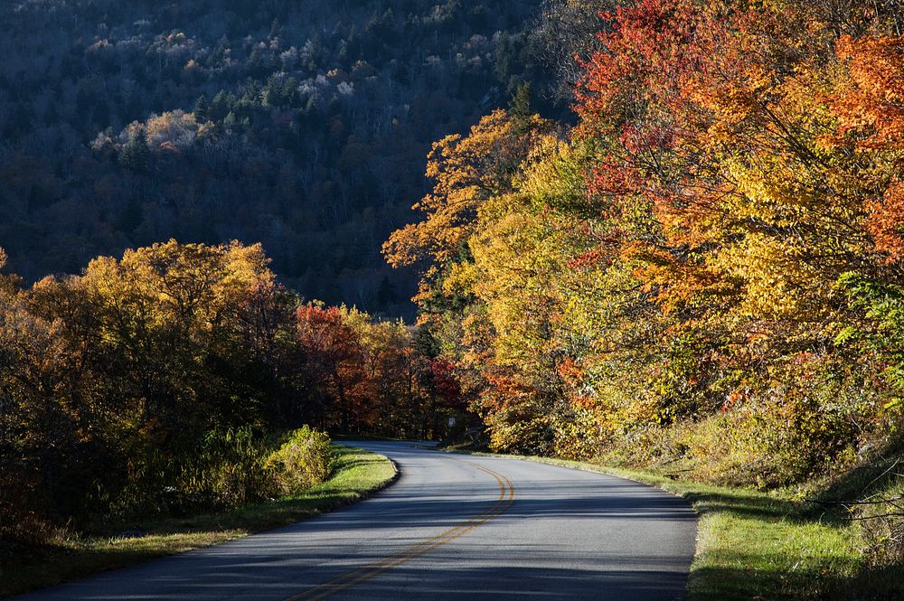 Bend in the roadway along the southern reaches of the Blue Ridge Parkway, near Linville, North Carolina. Original image from Carol M. Highsmiths America, Library of Congress collection. Digitally enhanced by rawpixel.