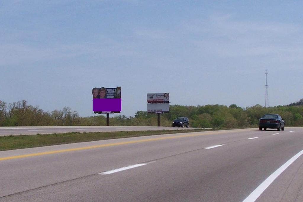 Photo of a billboard in Bradleyville