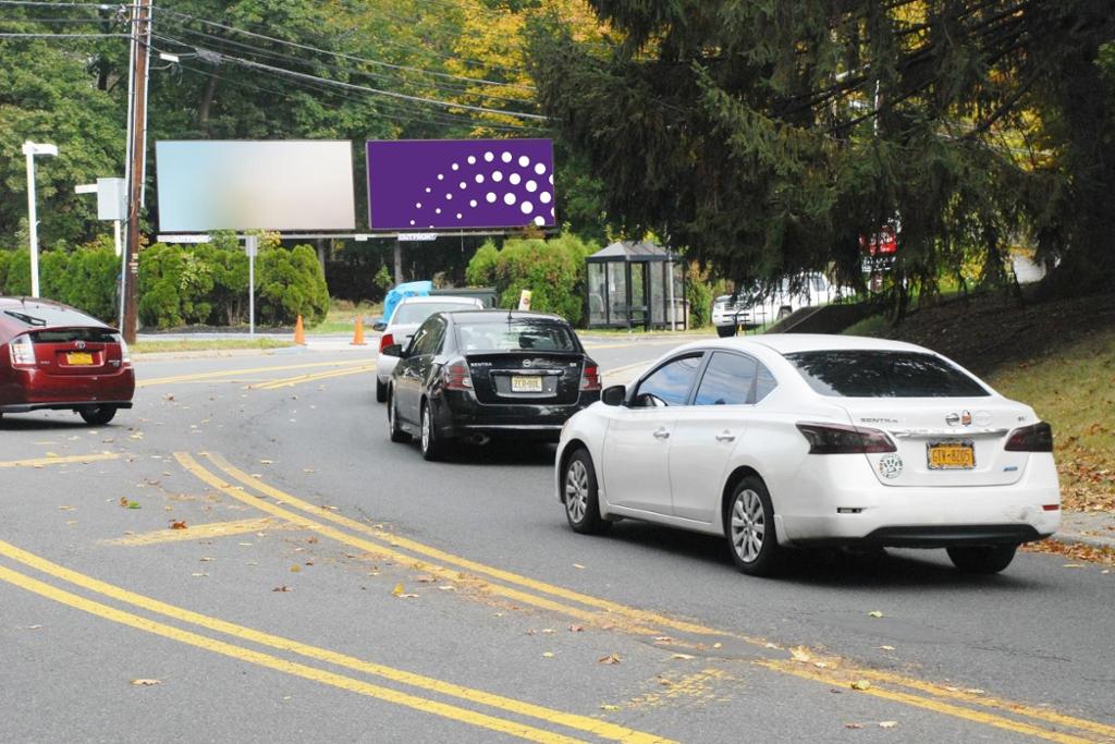 Photo of a billboard in Pearl River