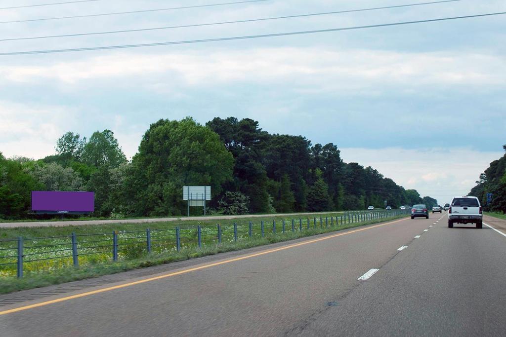 Photo of a billboard in Hernando