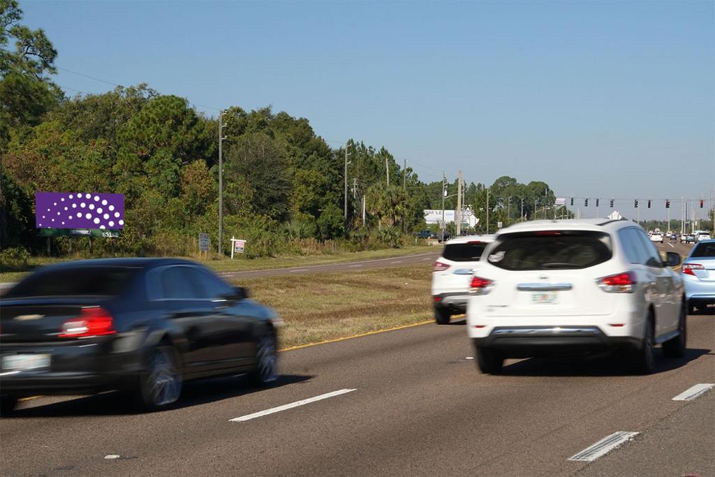 Photo of a billboard in Mt Dora