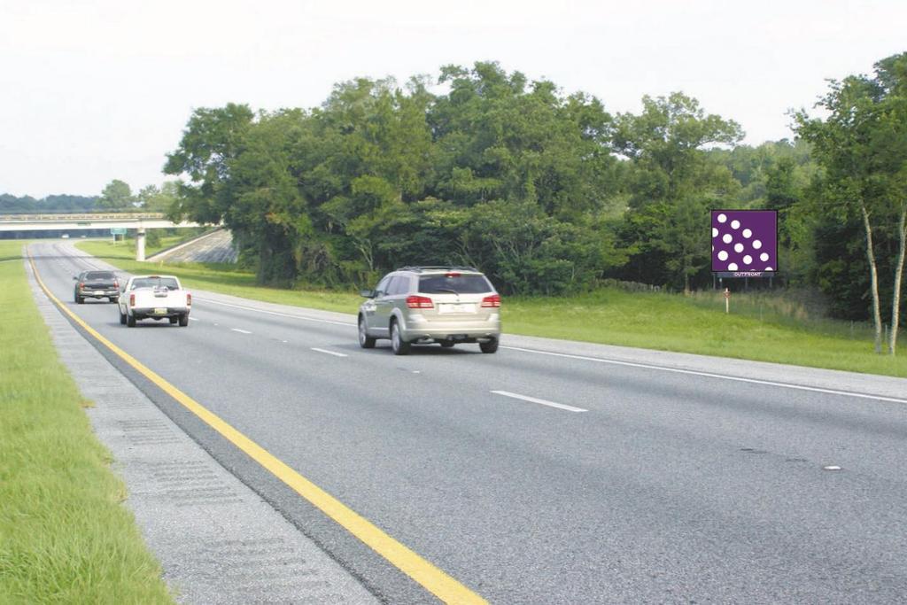 Photo of a billboard in Dowling Park