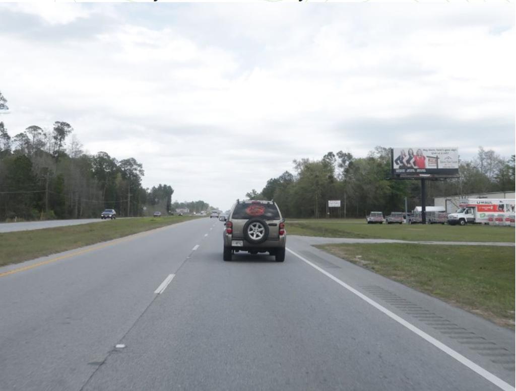 Photo of a billboard in Ludowici